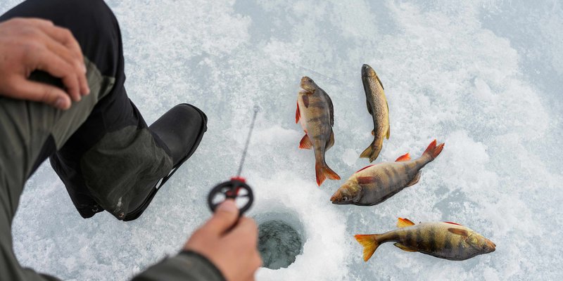 Ice fishing casino in United Kingdom